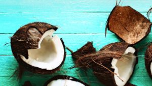 Wer eine Kokosnuss öffnet, erlebt nicht selten eine böse Überraschung. Foto: Adobe Stock/yakovlevadaria