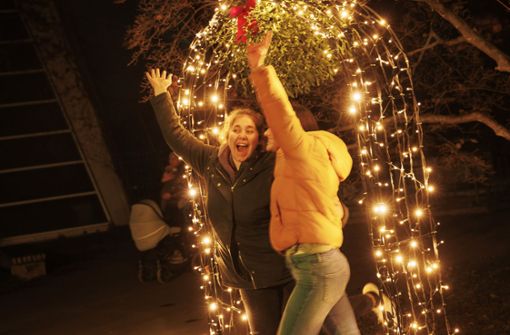 Die Wilhelma im Lichterglanz: Die Besucher haben viel Spaß beim dritten Stuttgarter Christmas Garden. Foto: Lichtgut/Julian Rettig
