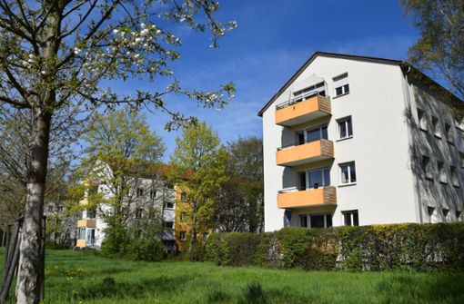 Der Fasanenhof ist ein Stadtteil mit viel Grün. Die Menschen, die dort leben, wollen, dass das so bleibt. Foto: Alexandra Kratz