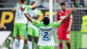 Die Freude der Spieler des VfL Wolfsburg ist riesig, der Klassenerhalt ist geschafft. Foto: dpa