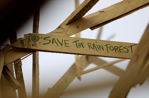 «Save The Rain Forest» steht vor der Weltklimakonferenz in Bonn auf einer Holzskulptur einer Initiative zur Erhaltung der Wälder. Foto: dpa