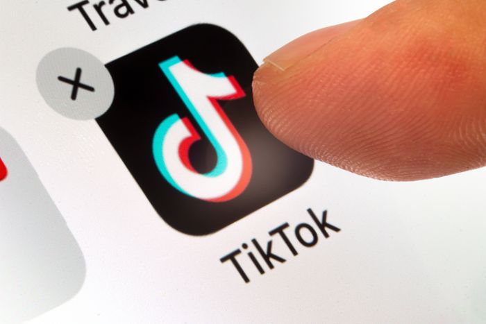 Eine der beliebtesten Social-Media-Plattformen: TikTok