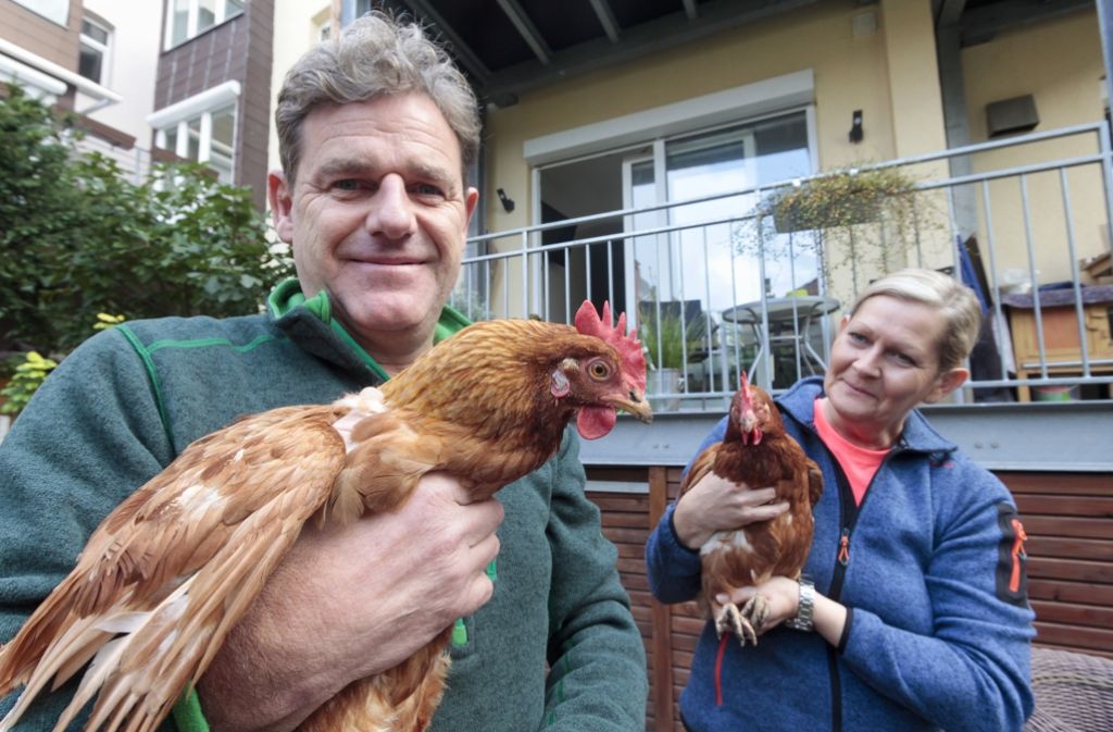 Jörg Berle und Karin Eheim mit ihren Hühnern Foto: factum/Granville
