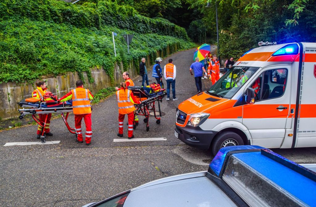 Großeinsatz für den Rettungsdienst in Weingarten: Hornissen haben eine Wandergruppe attackiert. Foto: 7aktuell.de/Fabian Geier