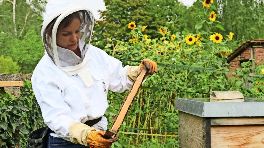 Imkerin im Strohgäu: Eine Biene allein macht noch keinen Honig