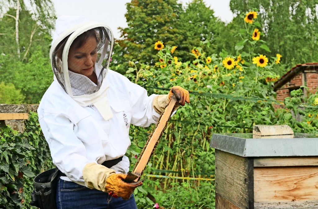 Victoria Gommel kümmert  sich in  ihrer Freizeit um mehrere Bienenvölker. Foto: factum/Granville
