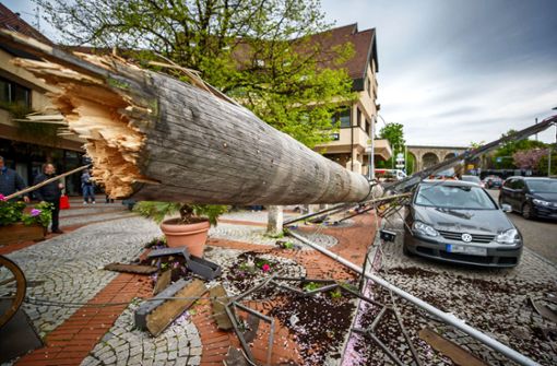 Im vergangenen Jahr hat ein Sturm den Endersbacher Maibaum zum Umsturz gebracht. Foto: Gottfried Stoppel