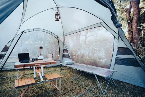Feldbett in einem Zelt in der Wildnis.