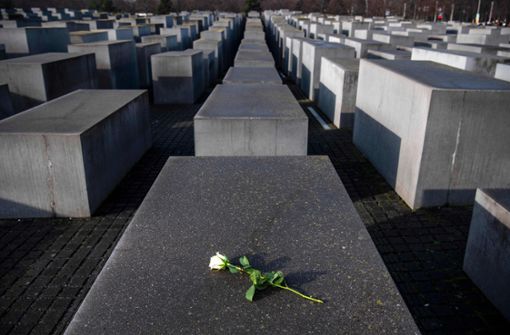 Am 27. Januar ist Holocaust-Gedenktag (Archivbild). Foto: AFP/JOHN MACDOUGALL