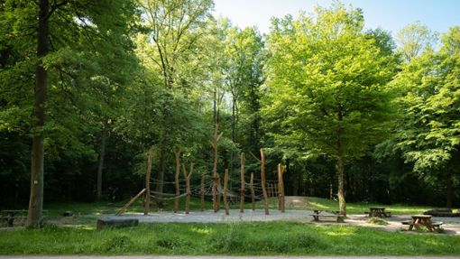 Der Stuttgarter Wald hat vielfältige Funktionen. Foto: Lichtgut/Max Kovalenko
