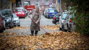 Die Kehrwoche ist ein schwäbisches Kulturgut und vor allem im Herbst sehr mühsam. Foto: Lichtgut/Achim Zweygarth