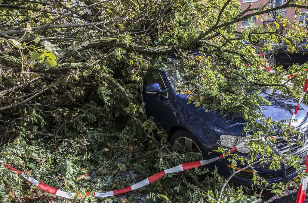 In Berlin sind noch am Sonntag Autos unter umgestürzten Bäumen begraben gewesen.