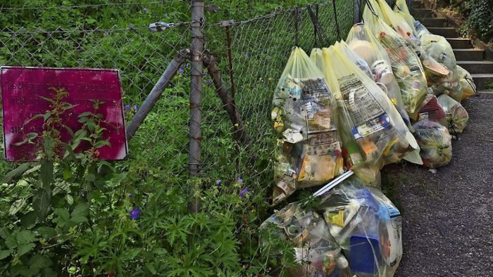 Stadt will Müllsünder ausfindig machen