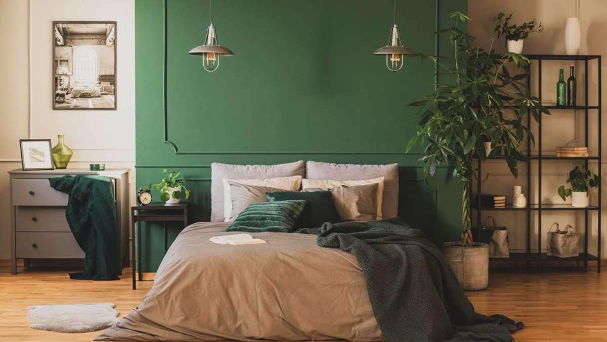 Ein Schlafzimmer wirkt mit Pflanzen gleich viel gemütlicher. Doch welchen Effekt haben Zimmerpflanzen auf den Schlaf?