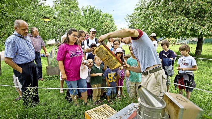 Imker in der Stadt produzieren gesunden Honig