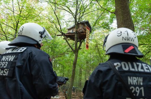 Der Hambacher Forst ist nach jahrelangen Protesten zum Symbol der Anti-Kohle-Bewegung geworden. Foto: dpa