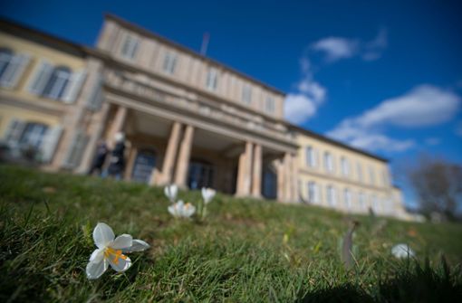 Die Krokusse auf der Wiese vor dem Schloss Hohenheim können am Wochenende wieder Sonne tanken. Foto: dpa