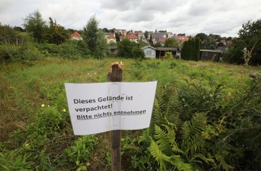 Hier schaut schon lange keiner mehr nach dem Rechten: Kleingarten in der Gartenanlage „Einheit“ in Altenburg in Thüringen Foto: dpa/Bodo Schackow
