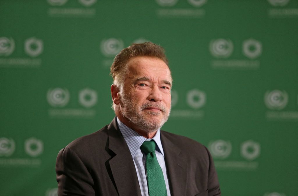 Arnold Schwarzenegger beim Weltklimagipfel in Kattowitz.