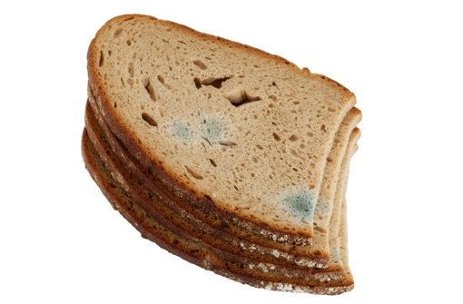 Verschimmeltes Brot ist gesundheitsgefährdend Foto: Fotolia