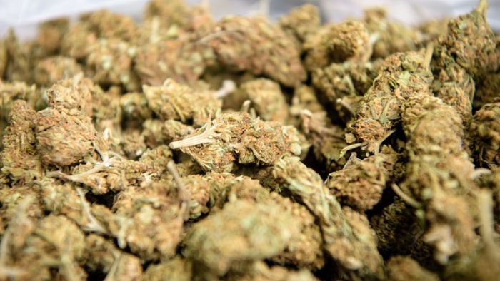 17-Jähriger versteckt 25 Gramm Marihuana in Unterhose
