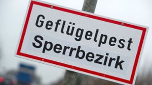 Geflügelpest im Landkreis Ludwigsburg nachgewiesen