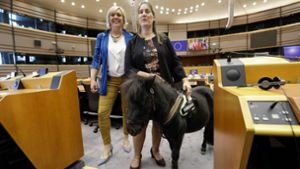 Ein Pferd hat im Brüsseler Europaparlament für Aufsehen gesorgt. Foto: BELGA