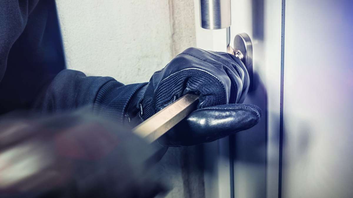 Einbrecher in Ludwigsburg ertappt: Versteckspiel mit der Polizei