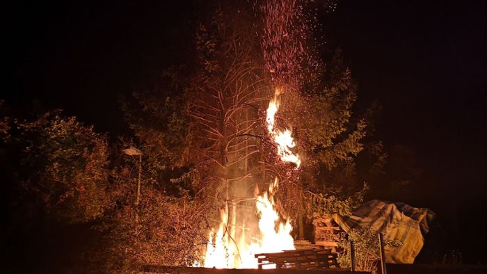 Baum hinter Holzgerlinger Tennisheim brennt lichterloh