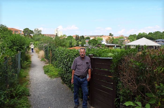 Kleingartenanlage Mathildenhof: Ein Ludwigsburger Idyll