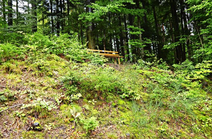 Deutschlands „schönster  Wanderweg“: Eine Runde Schwarzwald pur