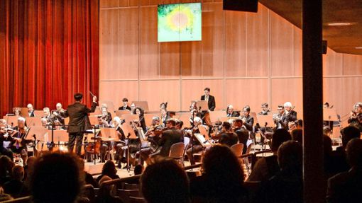 Das Leonberger Sinfonieorchester sorgte für glückliche Gesichter in der Stadthalle. Foto: Simon Granville