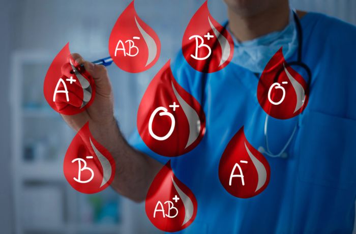 In diesem Artikel zeigen wir Ihnen, wie Sie schnell und einfach Ihre Blutgruppe herausfinden können. 4 Möglichkeiten im Überblick.