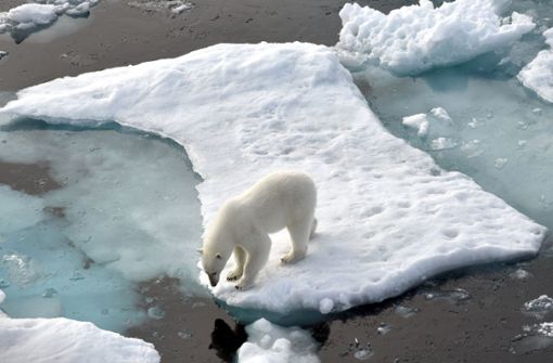 Der Klimawandel zerstört  Lebensgrundlagen von Tier und Mensch. Foto: dpa/Ulf Mauder