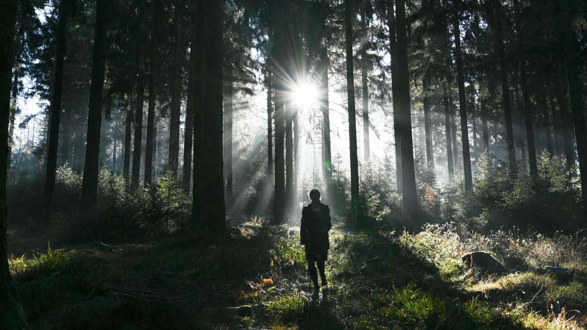 Beim Wandern verirrt: Sieben Tipps für ein sicheres Abenteuer im Schwarzwald