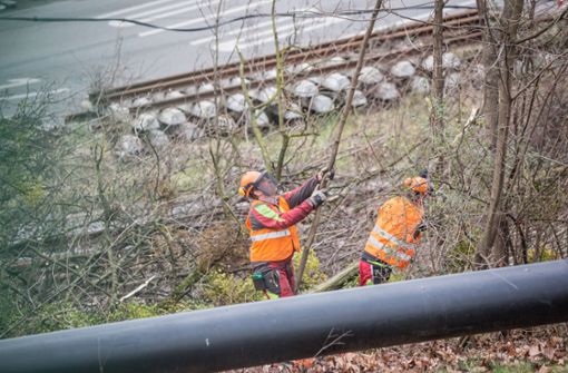In Stuttgart werden die Bäume beim Rosensteintunnel gefällt. Foto: Lichtgut/Julian Rettig