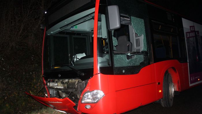 Betrunkener schrottet mit geklautem Bus zwei Streifenwagen
