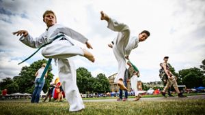 Hohe Sprünge – Taekwondo-Demonstration beim Kinder- und Jugendfestival im Oberen Schlossgarten. Mehr Eindrücke vom Festival in unserer Bildergalerie Foto: Leif Piechowski