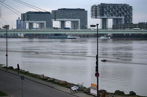 Der „Gamescom“-Besucher war laut Zeugen am frühen Freitagmorgen in den Rhein gestiegen. (Symbolfoto) Foto: dpa