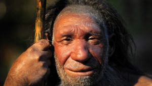 Das Aussterben der Neandertaler hängt vermutlich mit klimatischen Veränderungen zusammen. Foto: dpa