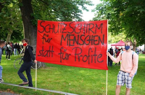 Zu der Demonstration im Oberen Schlossgarten kamen rund 300 Menschen. Foto: Andreas Rosar/Fotoagentur Stuttgart