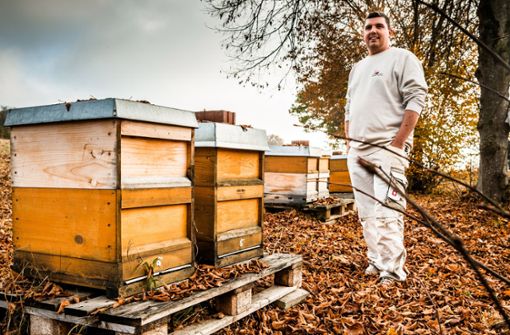 Oliver Hauck kämpft gegen stümperhafte Bienenhaltung. Deshalb hat der Imker seine eigenen Kästen über ganz Rottenburg verteilt. Foto: /Andreas Reiner