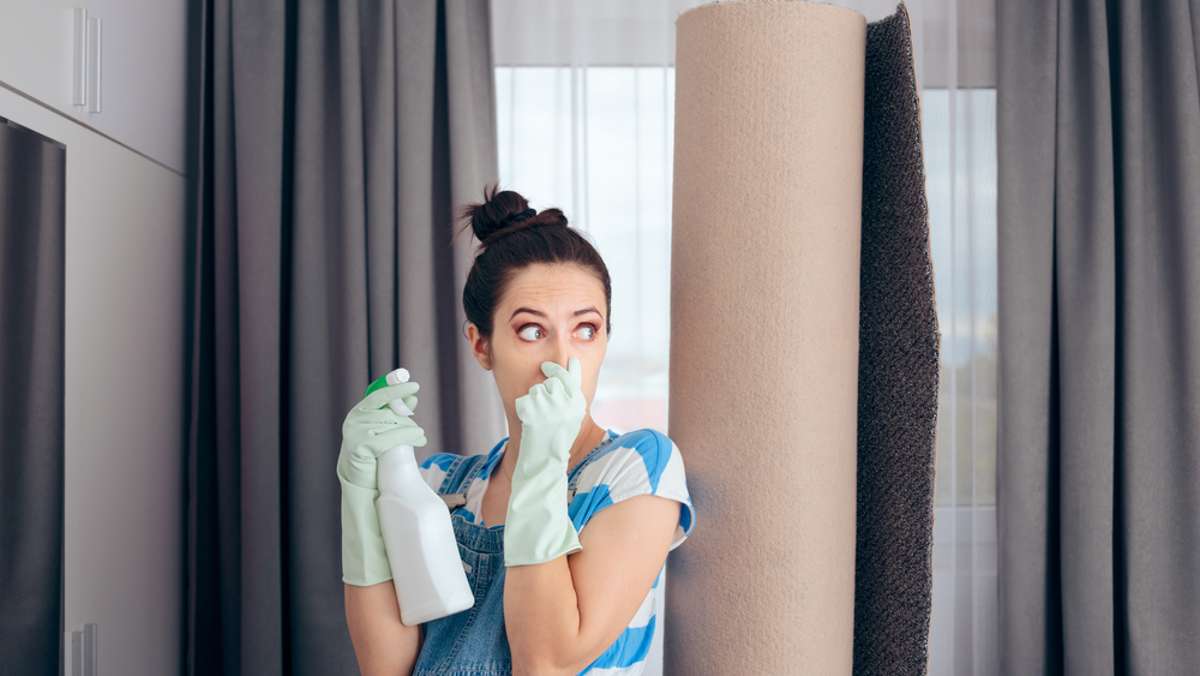 Teppich stinkt nach der Reinigung: Das hilft