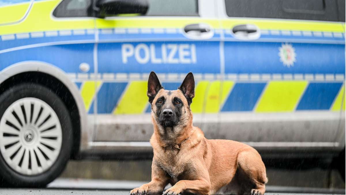 Mannheim: 50-Jähriger bedroht Mann mit Pistole und wird von Polizeihund verletzt