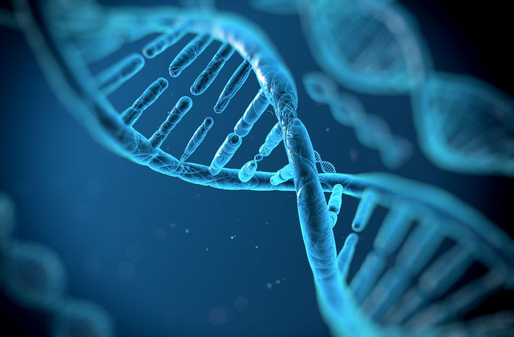 Erstmals haben US-Forscher menschliche Embryonen genetisch verändert. Foto: Vitstudio/Fotolia