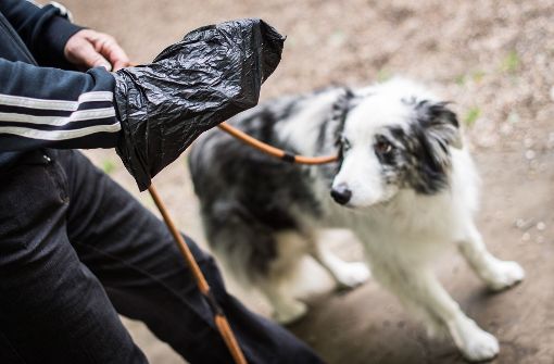 Nicht alle Bezirksbeiräte sind der Meinung, dass es mehr Spender und Mülleimer für Hundekotbeutel braucht. Foto: dpa