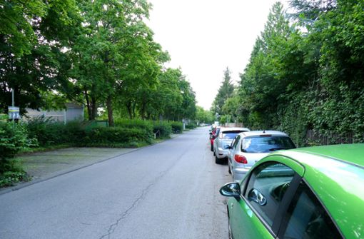 Die kostenlosen Parkplätze am Straßenrand sind belegt, die kostenpflichtigen Stellplätze bei der Uni Hohenheim  indes sind frei. Foto: Torsten Schöll