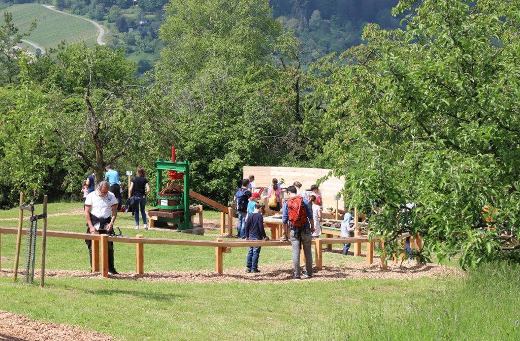 Die Holzkugeln rollen schnell auf ihrer Bahn – nun ist die Gartenschau-Attraktion in einem großen Fest von vielen eifrig mitmachenden Kindern eingeweiht worden.