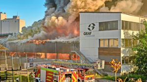 Große Rauchwolke: Holz-Firma steht lichterloh in Flammen