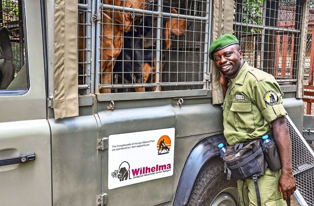Für die Hundestaffel der Ranger im Virunga-Nationalpark hat die Wilhelma mit Spenden ihrer Besucherinnen und Besucher unter anderem ein Geländefahrzeug finanziert.